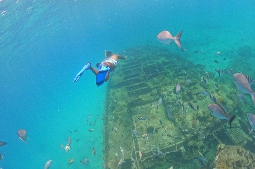 Barbados Glass Bottom Boat Cruise and Snorkeling 5