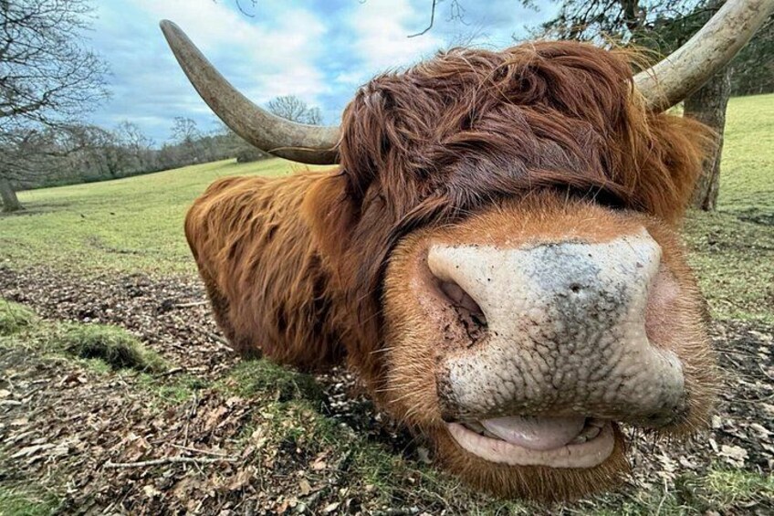 Meet the locals! 2