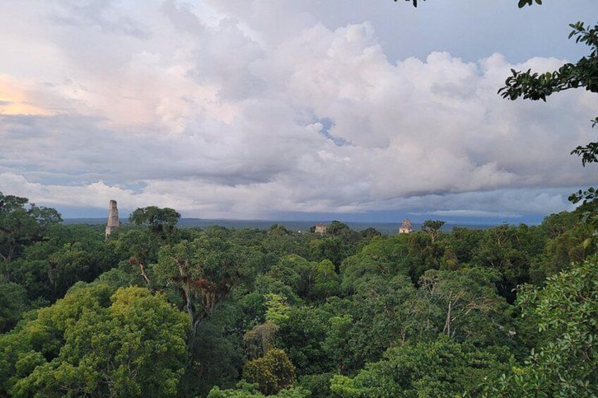 A dense forest with a prominent ancient stone structure in the background. 5