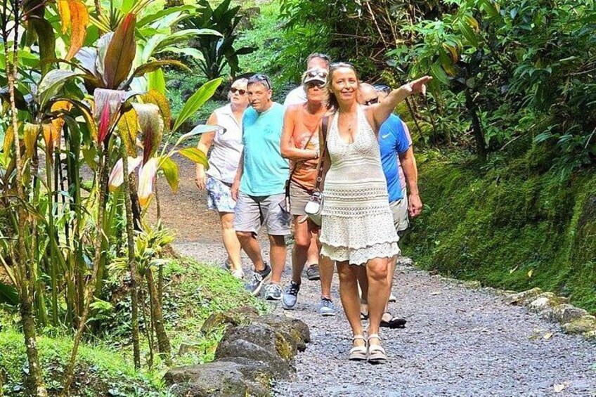Tahiti Private tour with personal guide 3