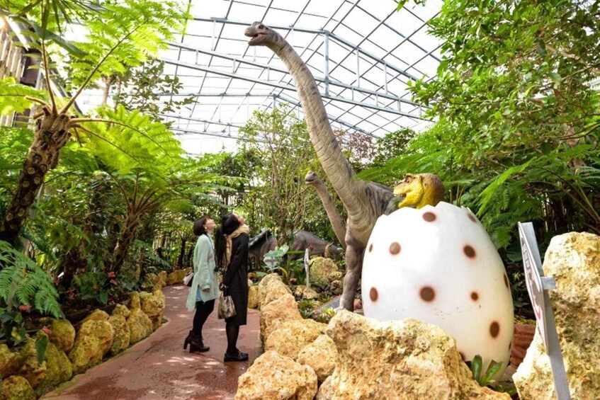 Picture 6 for Activity Naha: North Okinawa Sightseeing Tour & Churaumi Aquarium 3