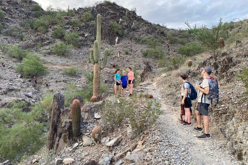 Family Fun Guided Hike in Phoenix, Arizona | Kids 10 & under free 1