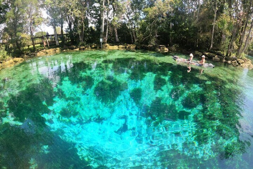 A clear blue pool surrounded by trees. 3