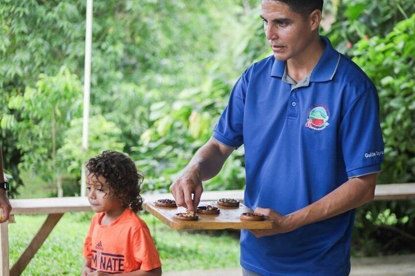 Coffee & Chocolate Tour+Sloths Park & Llanos de Cortez Waterfall 3