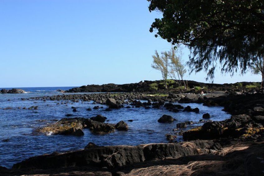 Un rivage rocheux bordé d’une eau d’un bleu limpide, un arbre et une vue lointaine sur l’océan. 2