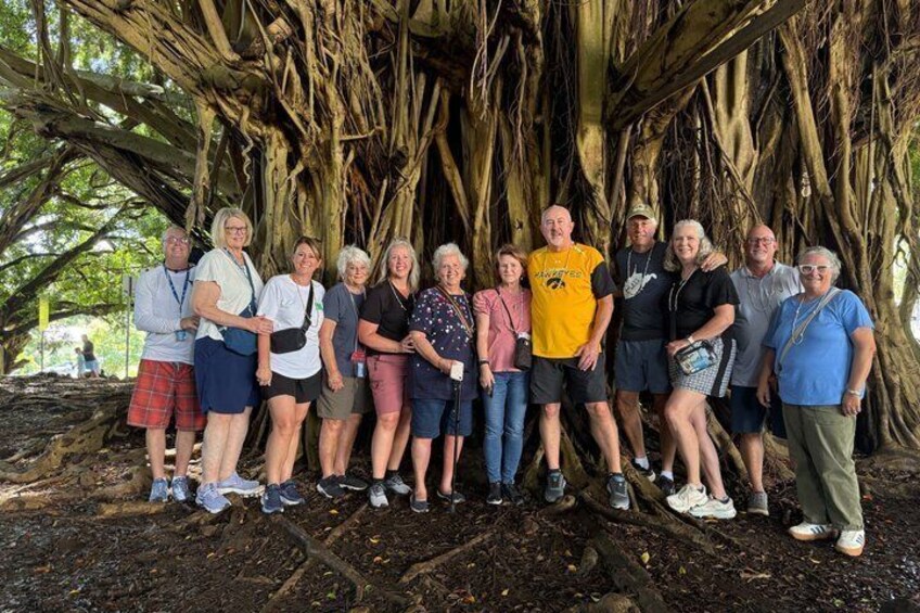 Un groupe de personnes se tient sous un grand arbre aux racines très développées. 3