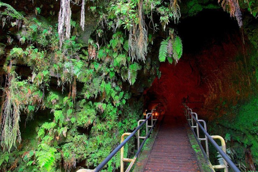 Entry to Nahuku (Thurston Lava Tube) 2