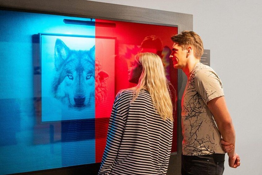 Museum of illusions Vilnius Official Entry Ticket 1