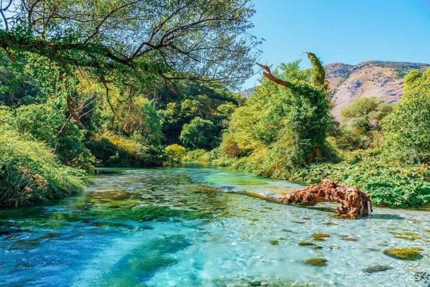 A clear river surrounded by lush greenery and a mountainous backdrop. 5