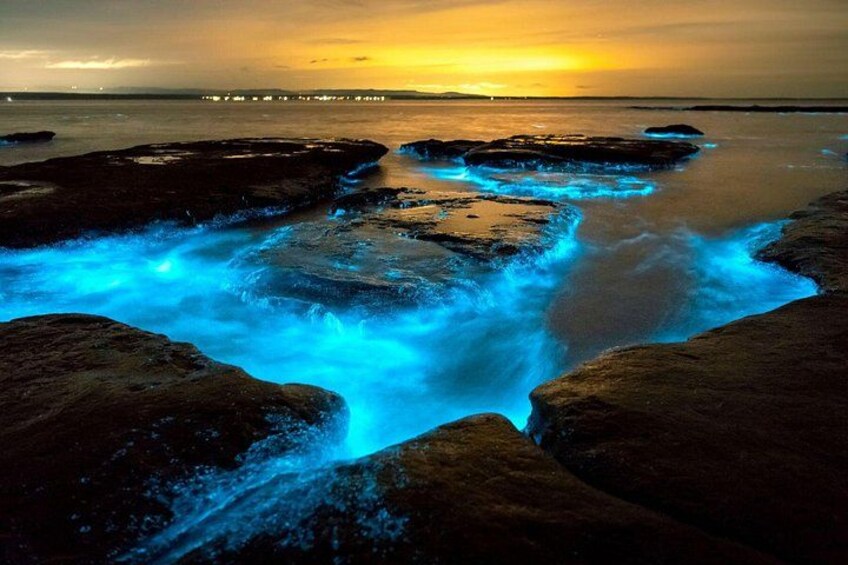 Grand Cayman Bioluminescence Adventure 4