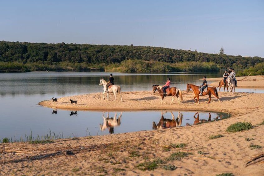 Horse Riding at the Beach in Orosei 4