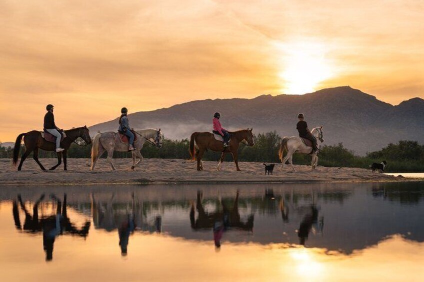 Horse Riding at the Beach in Orosei 5