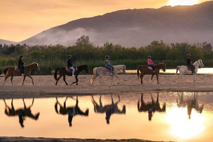Horse Riding at the Beach in Orosei 1