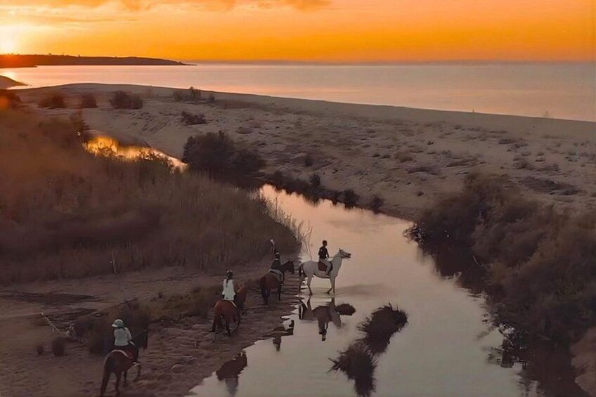Horse Riding at the Beach in Orosei 2