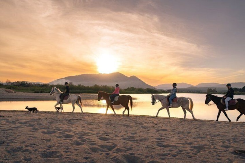 Horse Riding at the Beach in Orosei 2