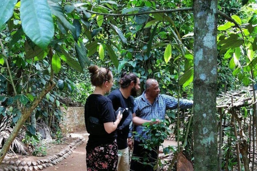 A group of people standing in a forested area with trees and a dirt path. 3