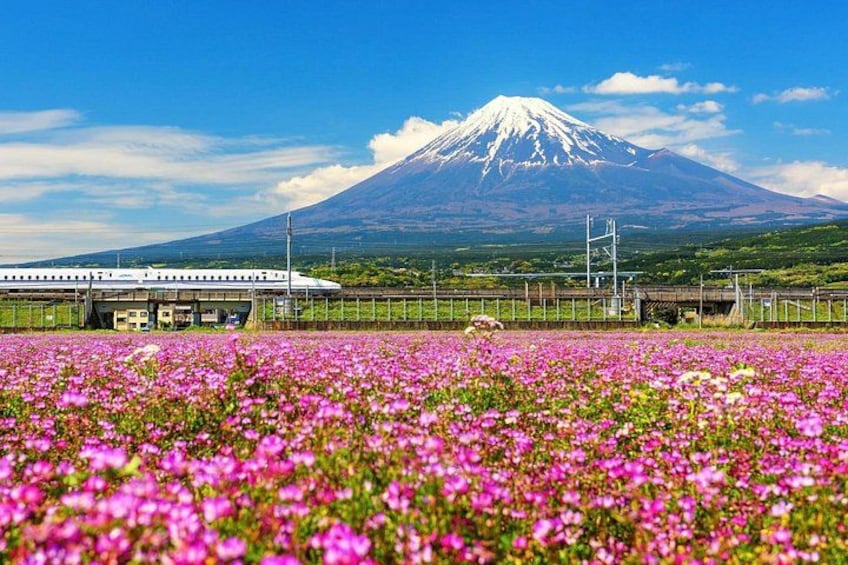 Full Day Tour at Mt. Fuji, Onsen, Lake Kawaguchi and Yamanaka 4