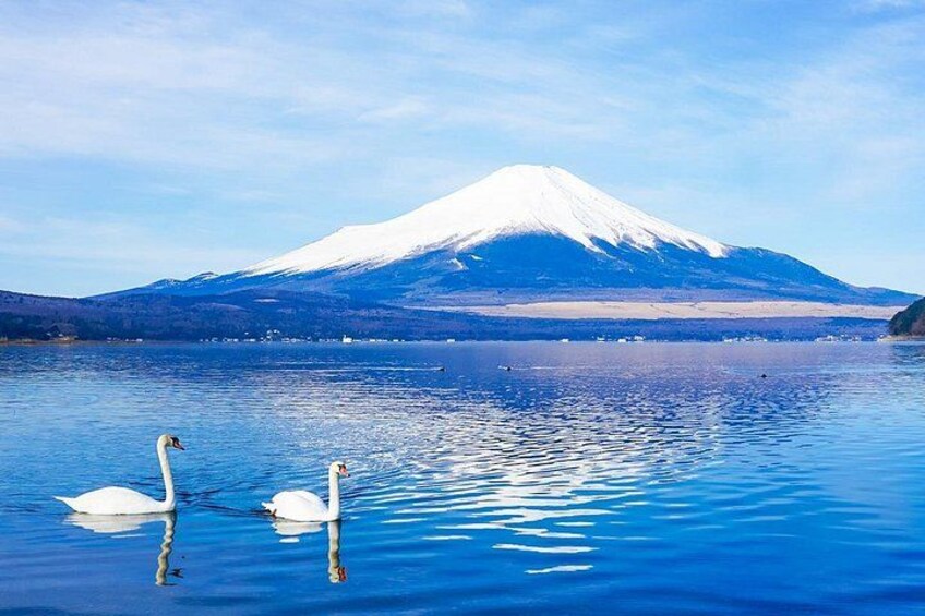 Full Day Tour at Mt. Fuji, Onsen, Lake Kawaguchi and Yamanaka 3