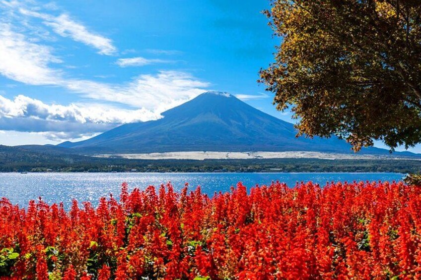 A mountain, a lake, and red flowers. 4