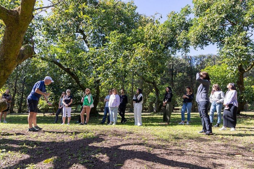 Een groep mensen in een park met bomen en gras. 4