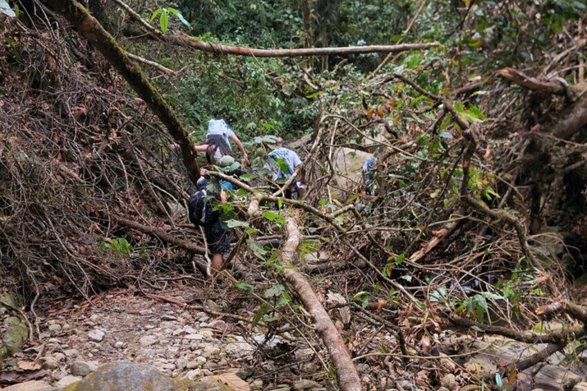 SECRET WATERFALL HIKE TOUR - ULTRA TOURS MEDELIN 5