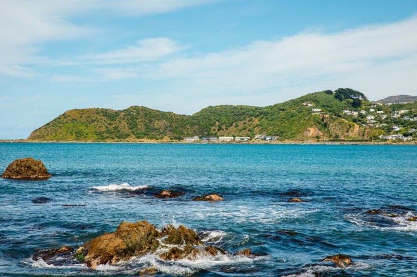 Discover Wellington 3 hour City Tour 1
