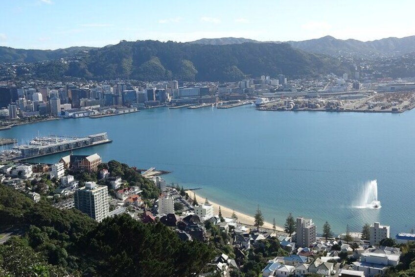 A coastal cityscape with a large body of water, a beach, and a cruise ship docked near the shore. 4