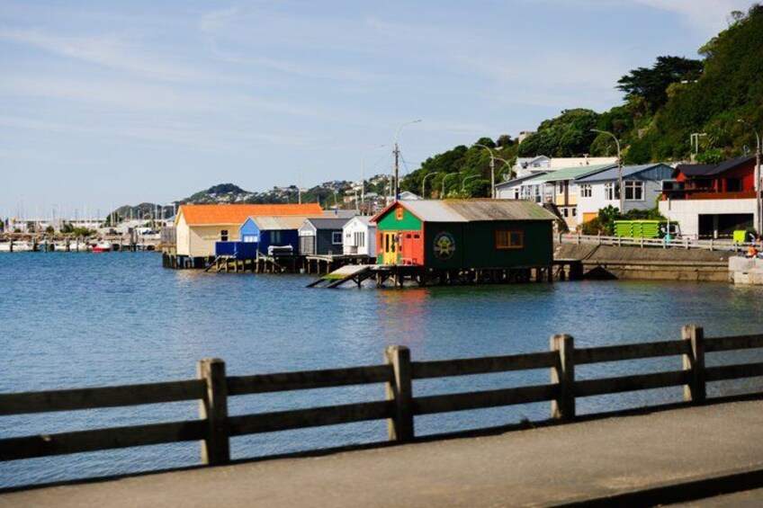 Discover Wellington 3 hour City Tour 5
