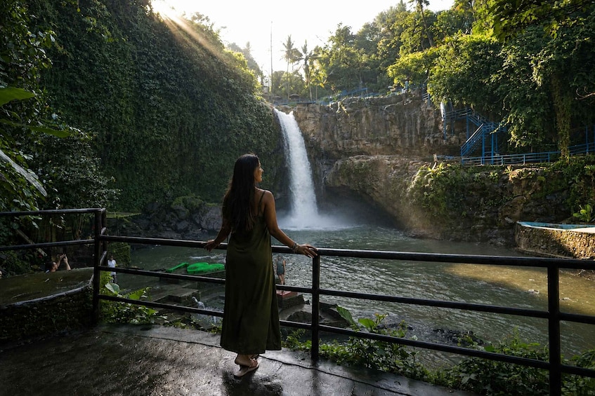 Picture 4 for Activity Ubud: Private Scenic Waterfalls & Rice Terrace Private Tour 2