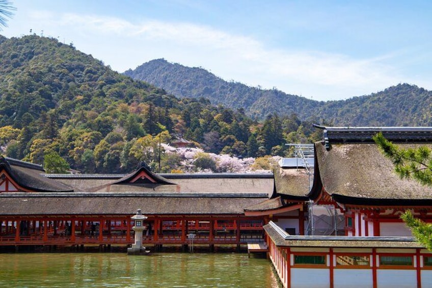 Hiroshima & Miyajima Tour From Hiroshima, Osaka, Kyoto, Fukuoka 3