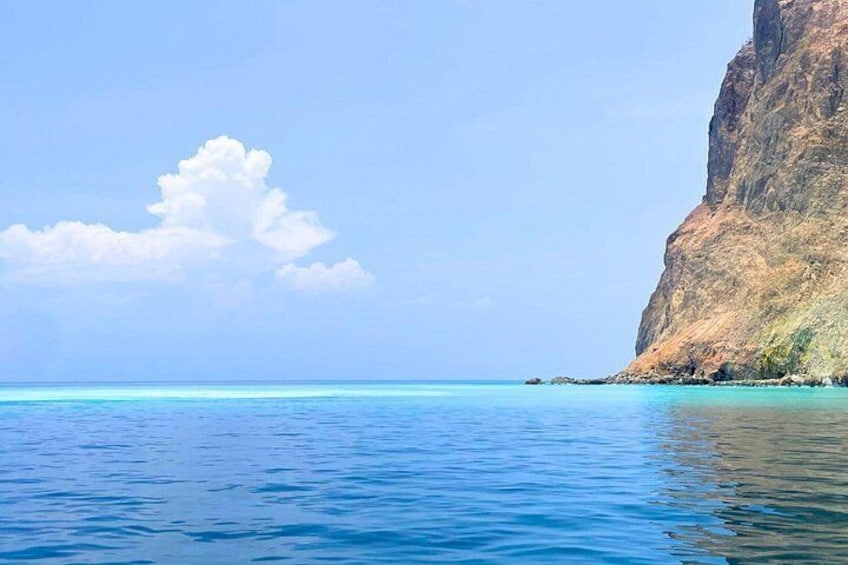 Yilan Day Tour Whale Watching Cruise and Animal Farm 3