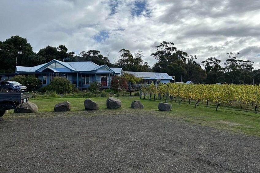 Huon Valley Wine and Cider Tour - Hobart and SE Tasmania 5