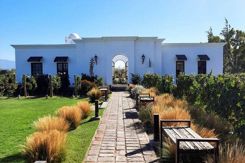 WINERIES DAY with Private Driver and Michelin Guide Lunch 1
