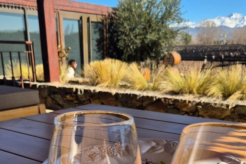 WINERIES DAY with Private Driver and Michelin Guide Lunch 4