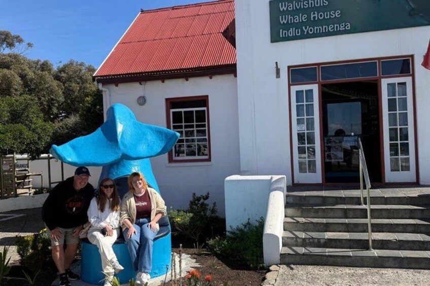 Boat Based Whale Watching from Hermanus 4