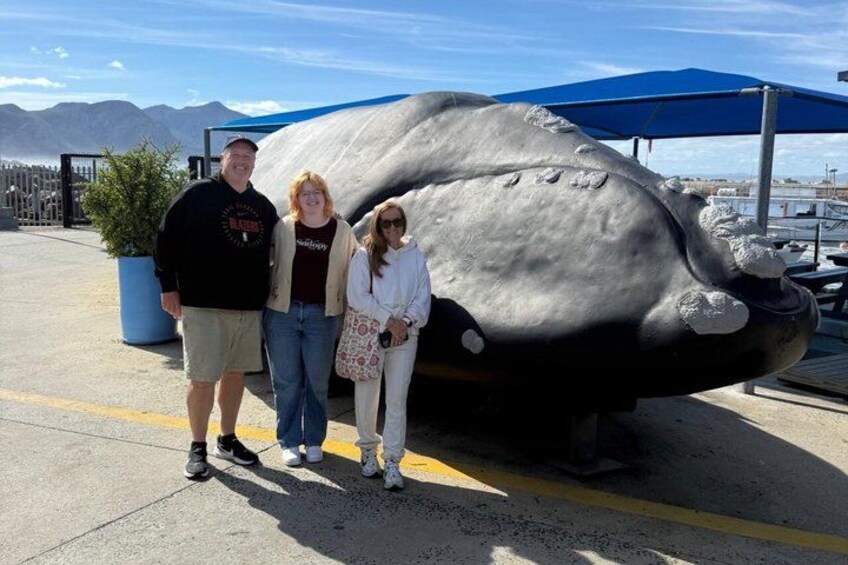 Boat Based Whale Watching from Hermanus 3