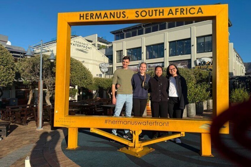 Boat Based Whale Watching from Hermanus 4
