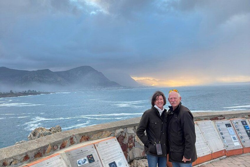 Boat Based Whale Watching from Hermanus 5