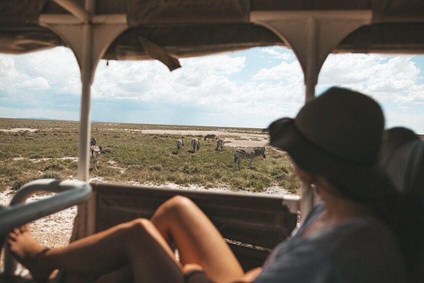 Etosha Safari National Park 2