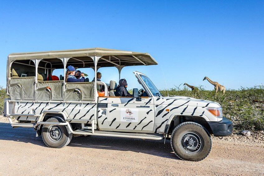 Etosha Safari National Park 1