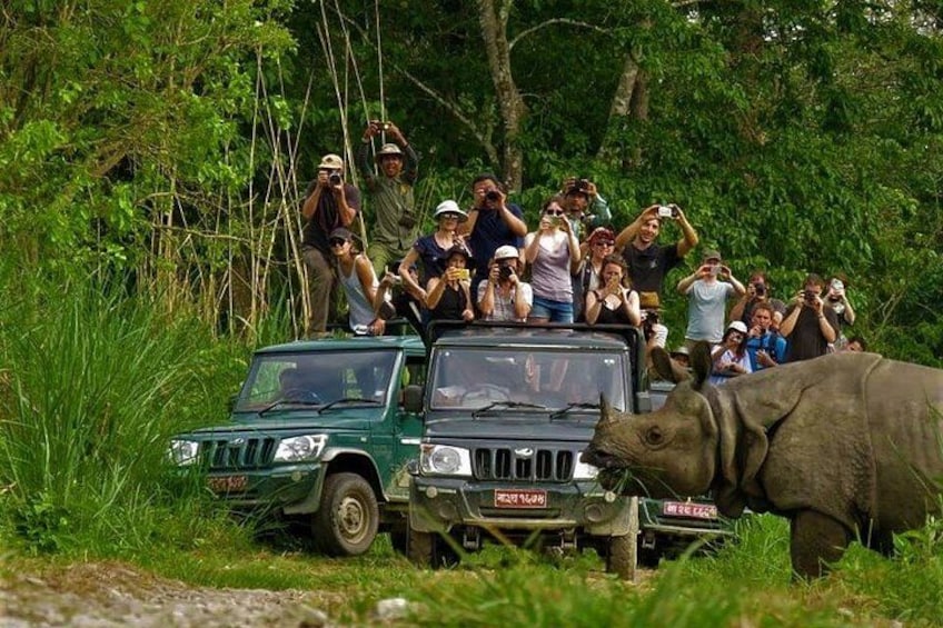 A green off-road vehicle with a group of people on top, surrounded by dense green foliage. 1