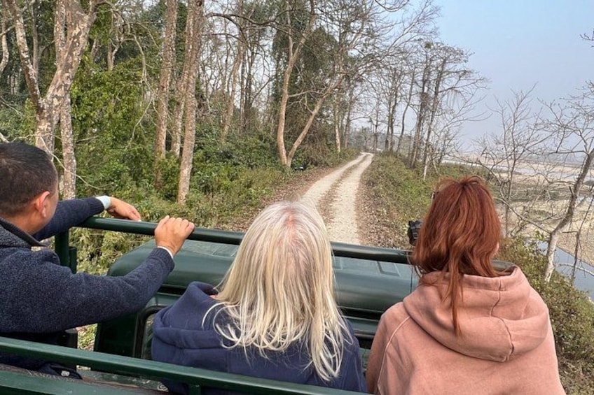 Three people in a vehicle on a dirt road surrounded by trees. 2