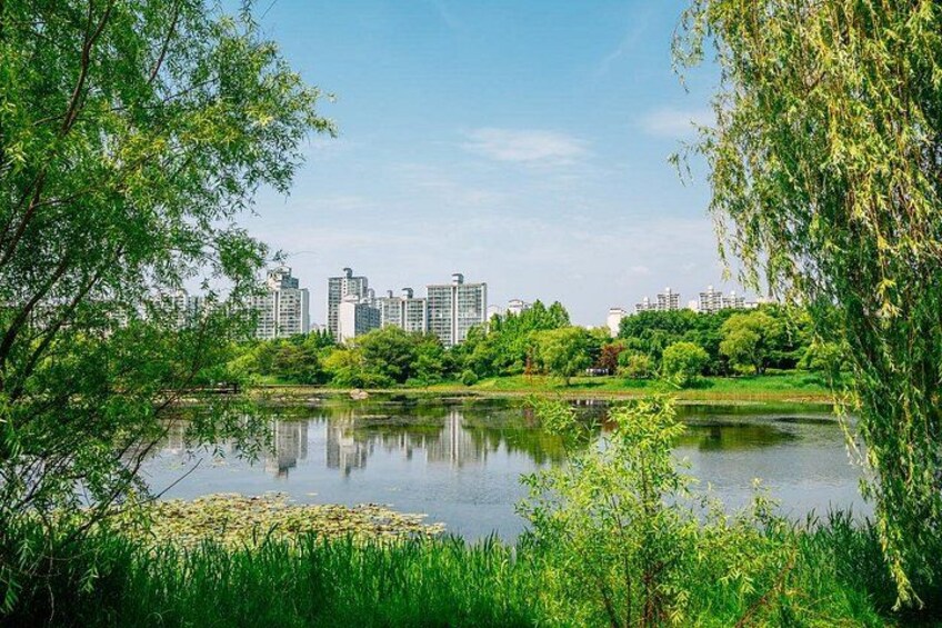 Scenic & Modern Wonders of Goyang-si: A Full-Day Private Tour 1