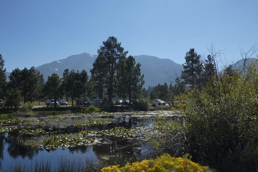 Lake Tahoe 1 Day Private Custom Tour from San Francisco 3