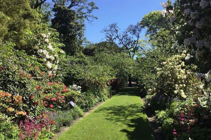 Dunedin Botanic Garden 4