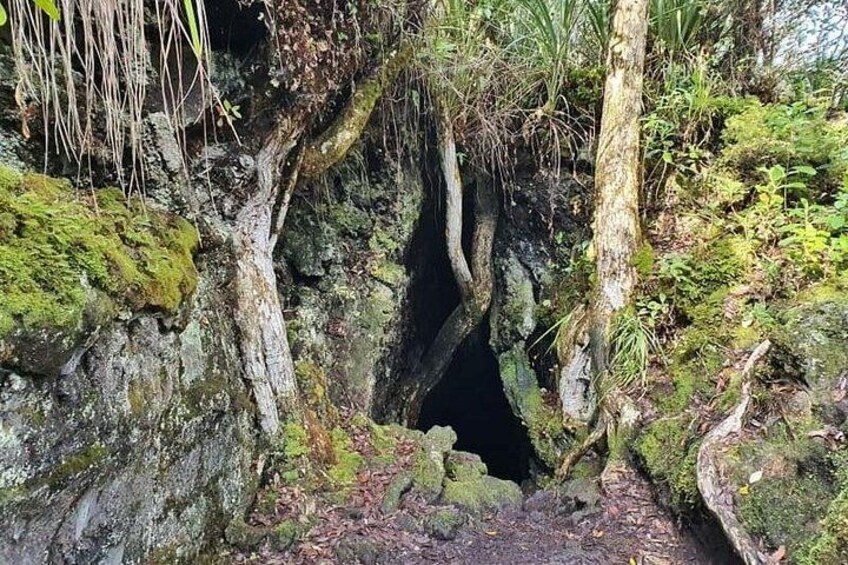 Auckland Natural Caves and Tunnels Private VIP Tour 3
