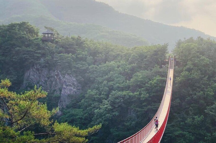 DMZ Tour from Seoul:3rd Tunnel,North Korea View,Suspension Bridge 2
