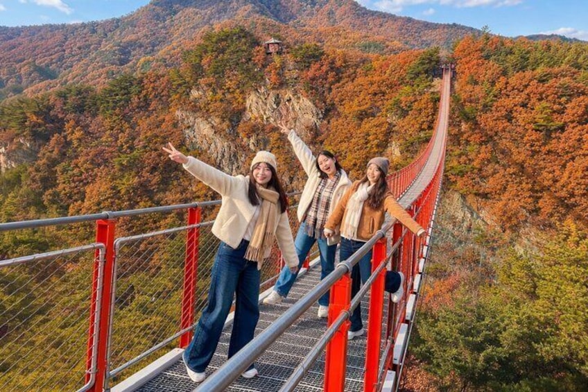 DMZ Tour from Seoul:3rd Tunnel,North Korea View,Suspension Bridge 1