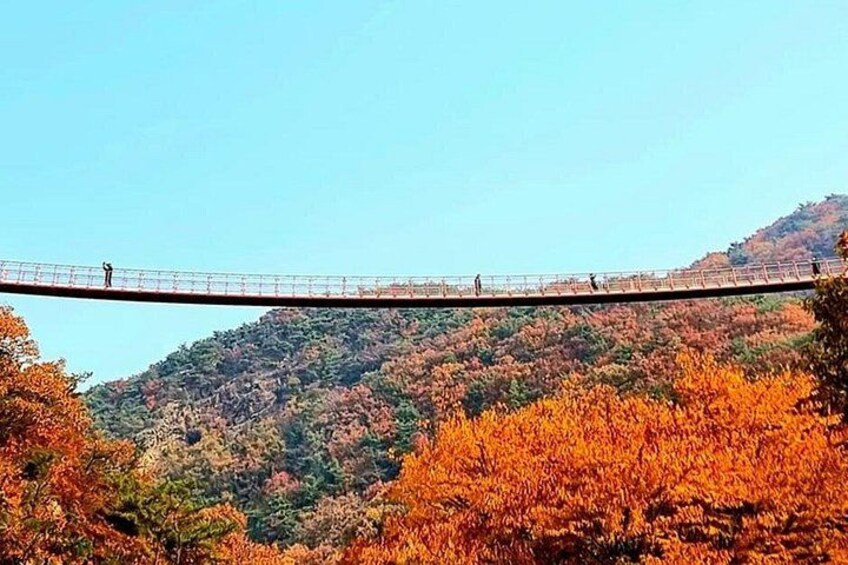 DMZ Tour from Seoul:3rd Tunnel,North Korea View,Suspension Bridge 4