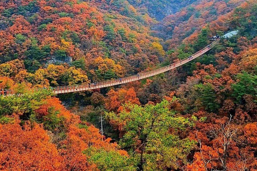 DMZ Tour from Seoul:3rd Tunnel,North Korea View,Suspension Bridge 5